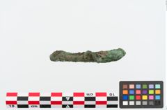 Foto von Bronzegehänge (NHMW-PRAE-024854)